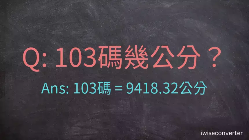 103碼幾公分？