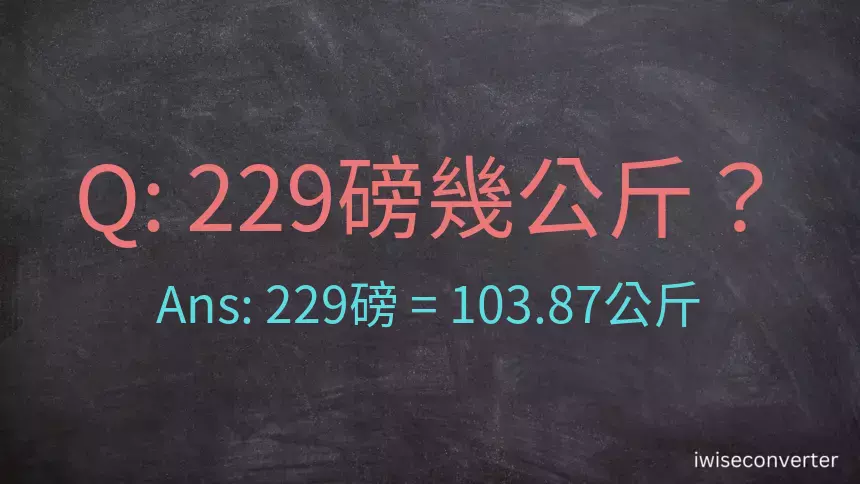 229磅幾公斤？