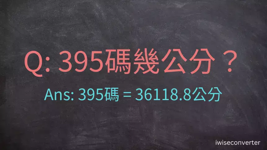 395碼幾公分？