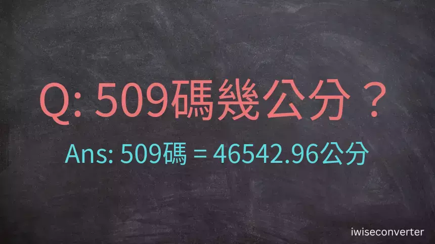 509碼幾公分？