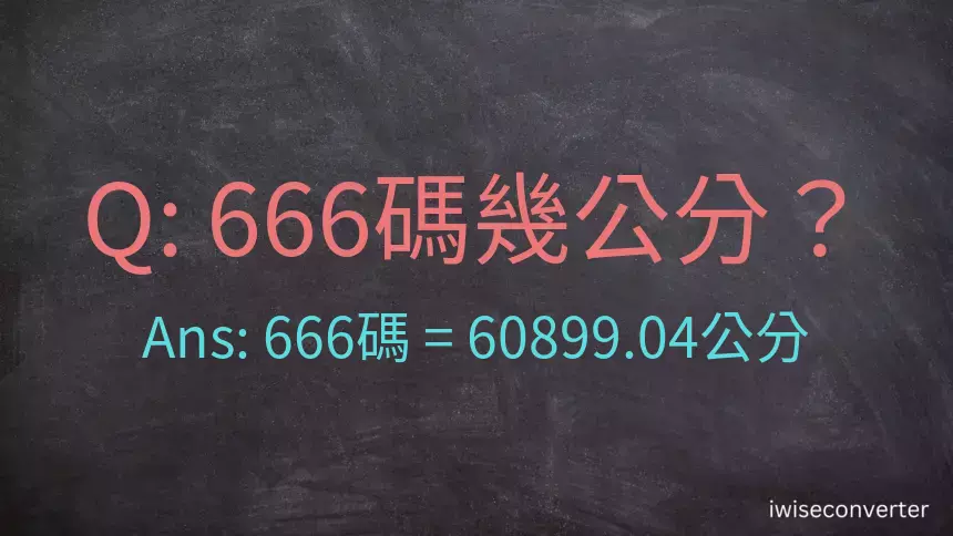 666碼幾公分？