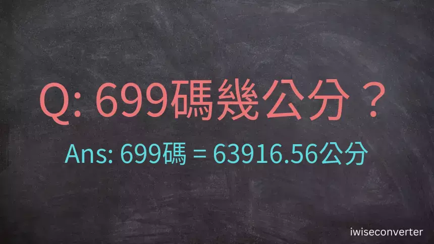 699碼幾公分？