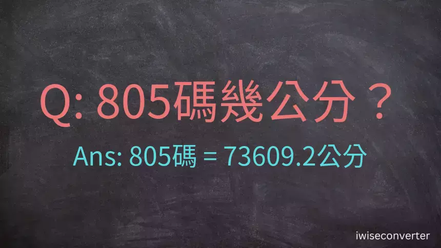 805碼幾公分？