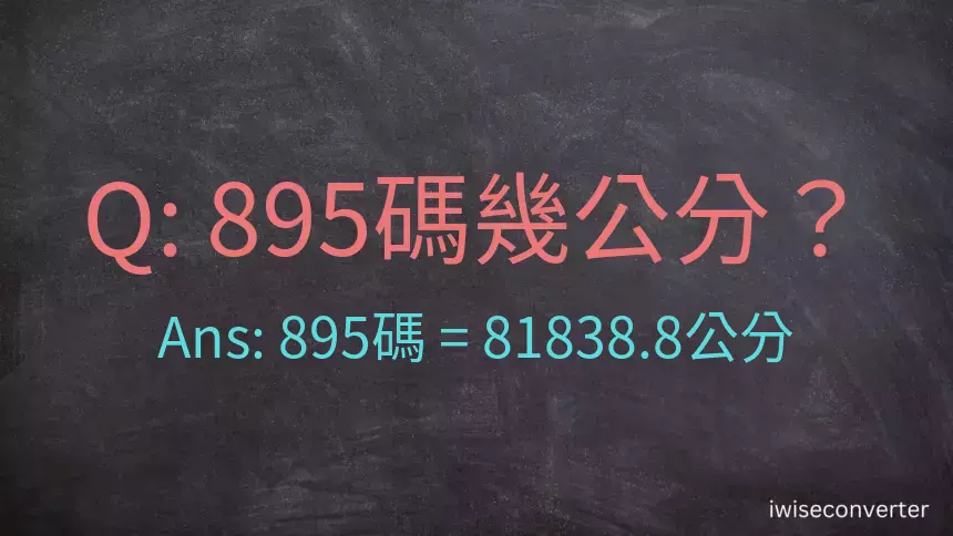 895碼幾公分？